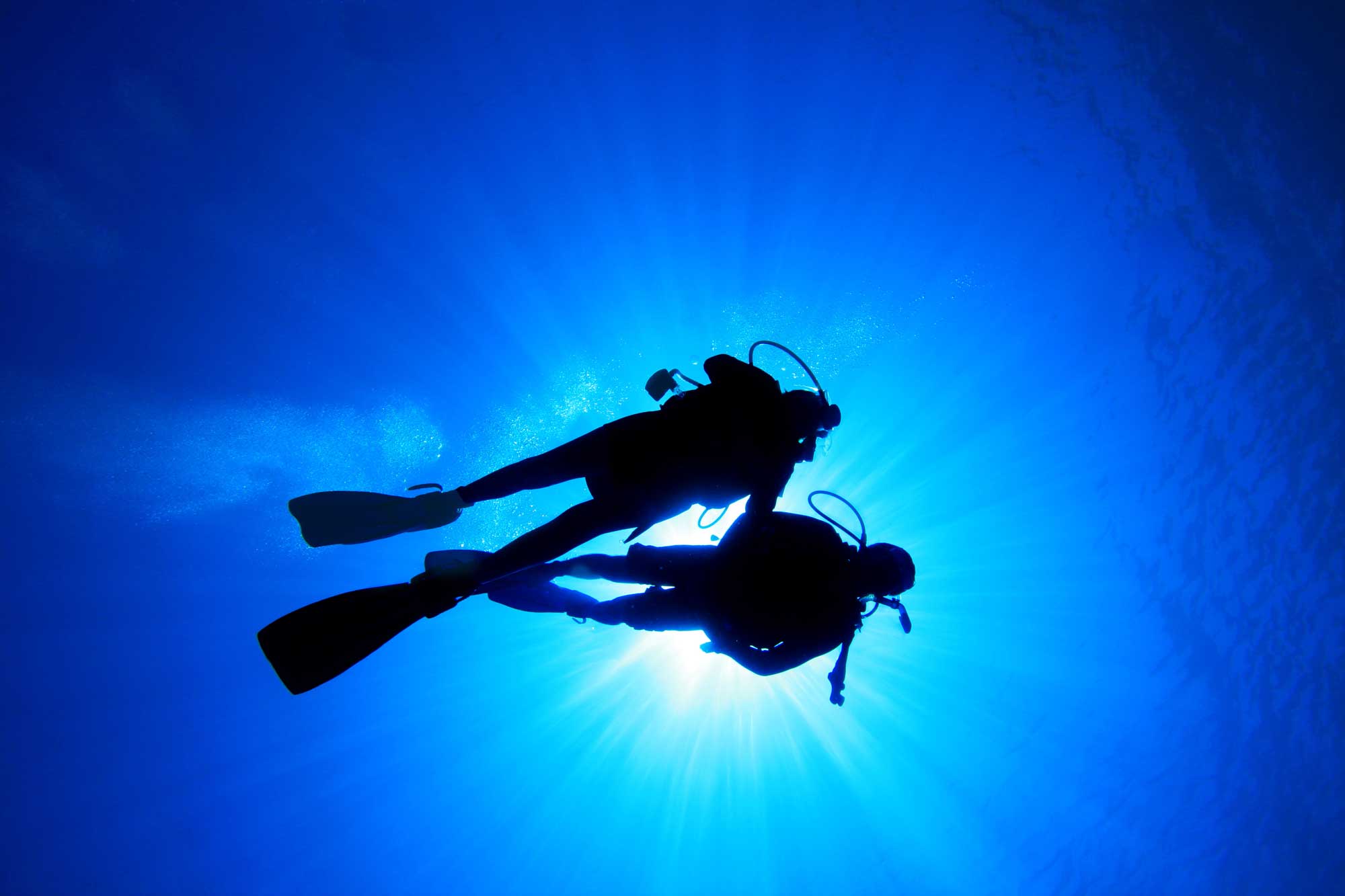 Diving - Golfo di Baratti - Costa degli Etruschi